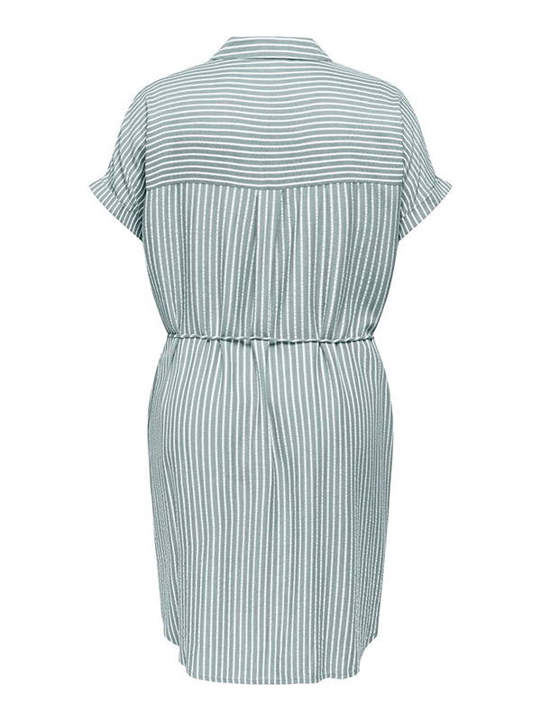 CARPENNA - Plus Size Jurk fra Only Carmakoma