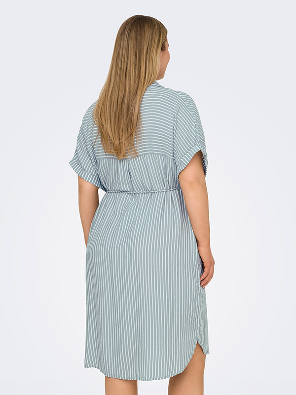 CARPENNA - Plus Size Jurk fra Only Carmakoma