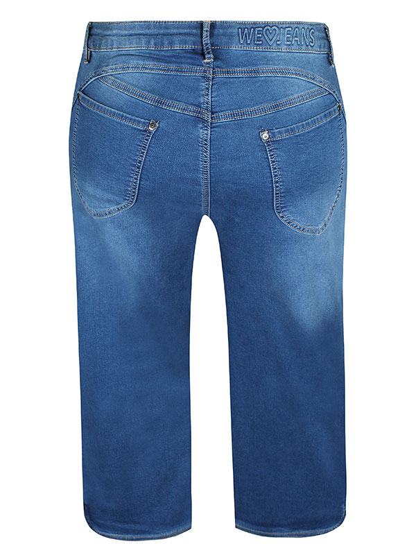 SALSA - Plus Size Jeans fra Zhenzi