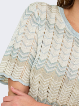 CARALVIRA - Plus Size T-shirt vanaf Only Carmakoma