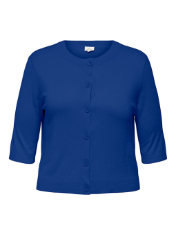 CARMILA - Plus Size Vest vanaf Only Carmakoma