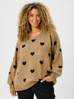 ZH-ELGA - Plus Size Sweater vanaf Zhenzi