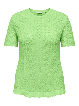 CARSAGA - Plus Size Blouse vanaf Only Carmakoma