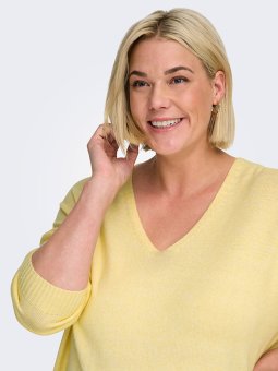 CARMARGARETA - Plus Size Sweater vanaf Only Carmakoma