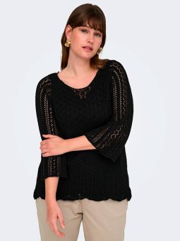 CARNOLA - Plus Size Sweater vanaf Only Carmakoma