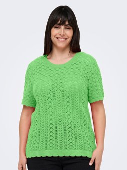 CARSAGA - Plus Size Blouse vanaf Only Carmakoma