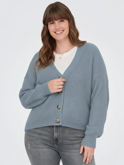 CARCAROL - Plus Size Vest vanaf Only Carmakoma