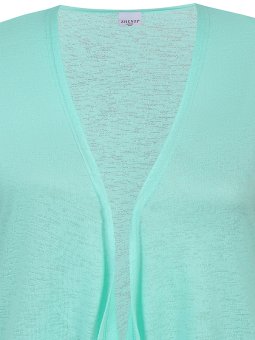 ZH-AGAR - Plus Size Vest vanaf Zhenzi