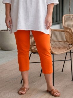 CLARA - Plus Size Legging vanaf Gozzip