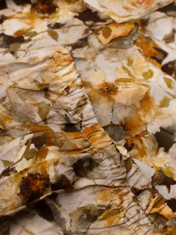 SINE - Plus Size Blouse vanaf Studio